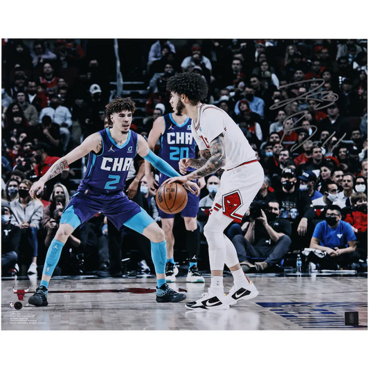 Lonzo Ball Signed Chicago Bulls  16" x 20" Versus LaMelo Ball Photograph (Fanatics)