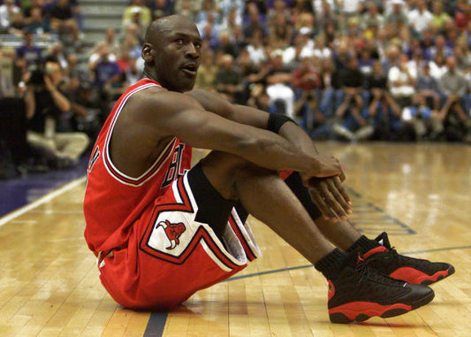 Michael Jordan Game Worn Sneakers (Authenticated)