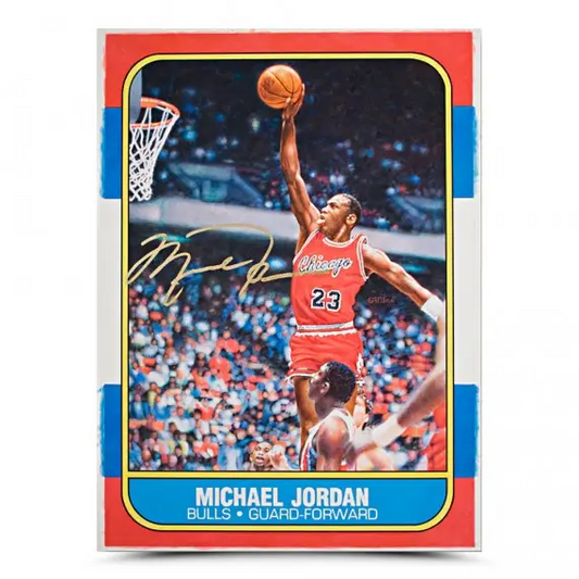 Michael Jordan & Julius Erving Dual Signed Picture "Slam Dunk" 16 x 20 (Upper Deck)