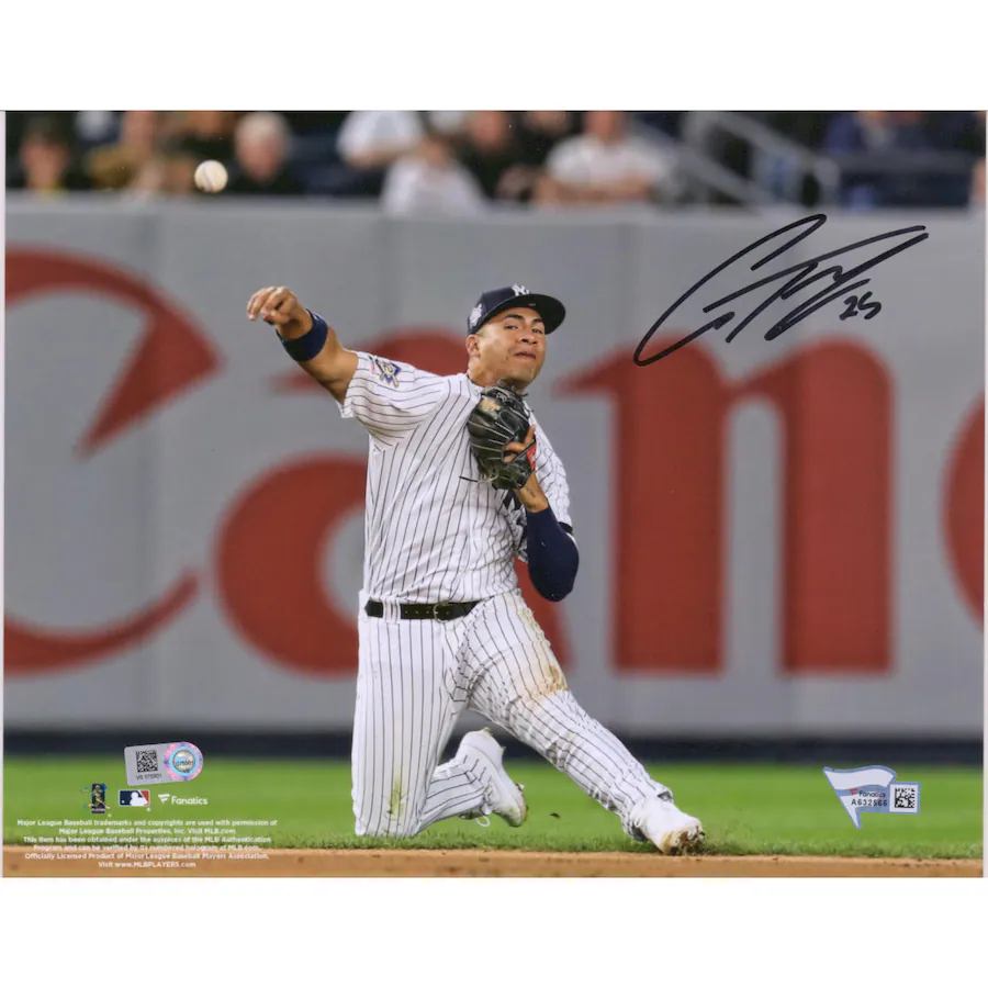 Gleyber Torres Signed New York Yankees 8'' x 10'' Throwing Photograph (Fanatics)