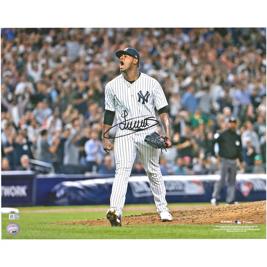 Luis Severino Signed New York Yankees 16" x 20" Yelling Photograph (Fanatics)