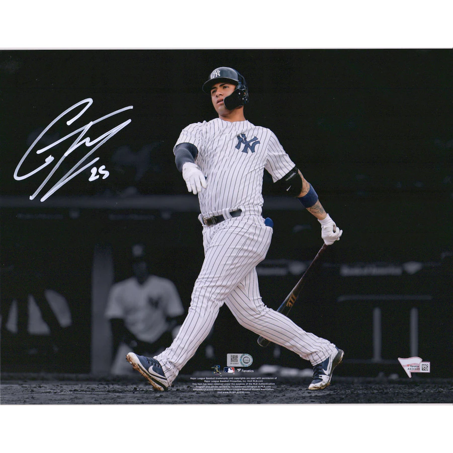 Gleyber Torres Signed New York Yankees  11" x 14" Spotlight Photograph (Fanatics)