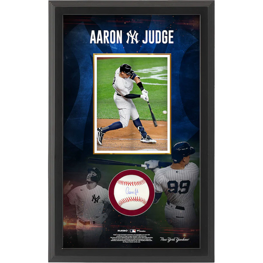 Aaron Judge Signed New York Yankees Baseball Shadowbox (Fanatics)