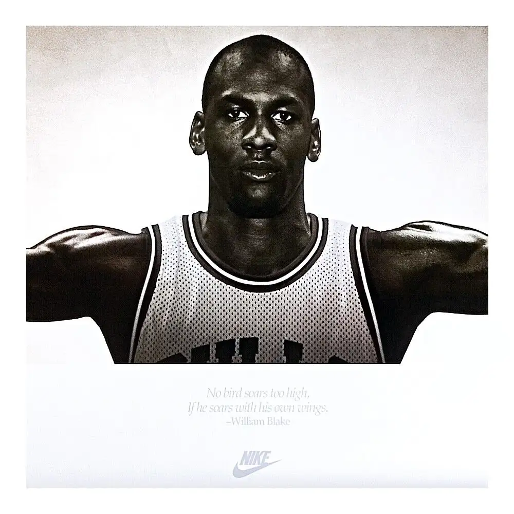 Michael Jordan Signed Wings Breaking Through Photograph with NBA Basketball - Framed (Upper Deck)