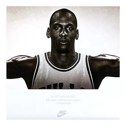 Michael Jordan Signed Wings Breaking Through Photograph with NBA Basketball - Framed (Upper Deck)