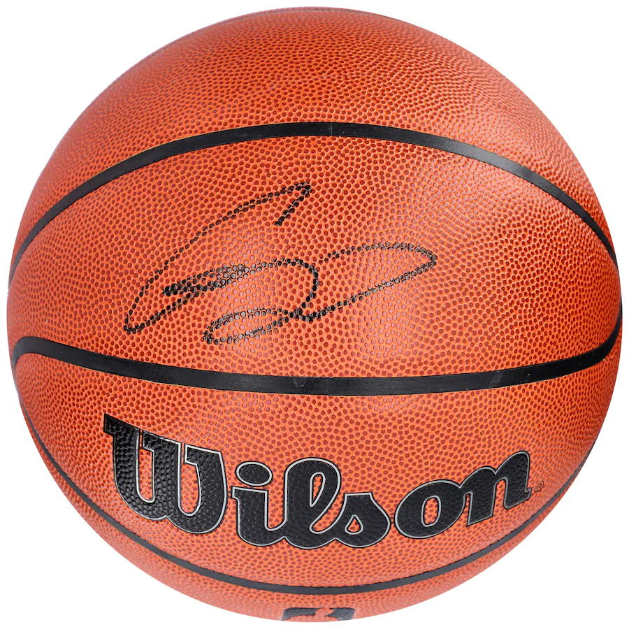 Gordon Hayward  Signed Charlotte Hornets Wilson Indoor/Outdoor Basketball (Fanatics)