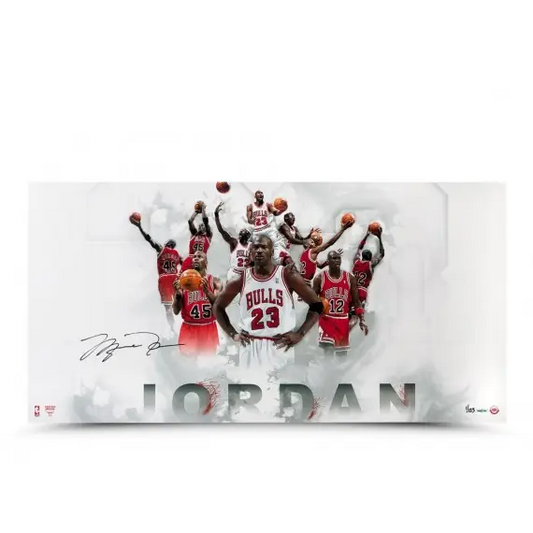 Michael Jordan Signed  #12 #23 #45 Jersey Number Photo (Upper Deck)